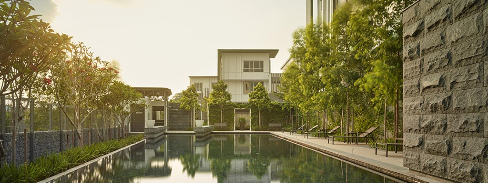 Park Manor