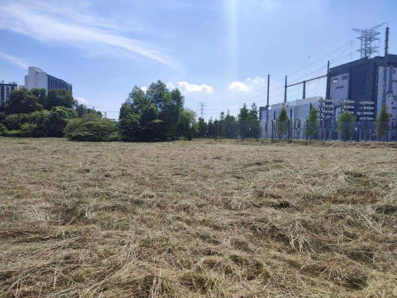 USJ Heights : Superlink Land